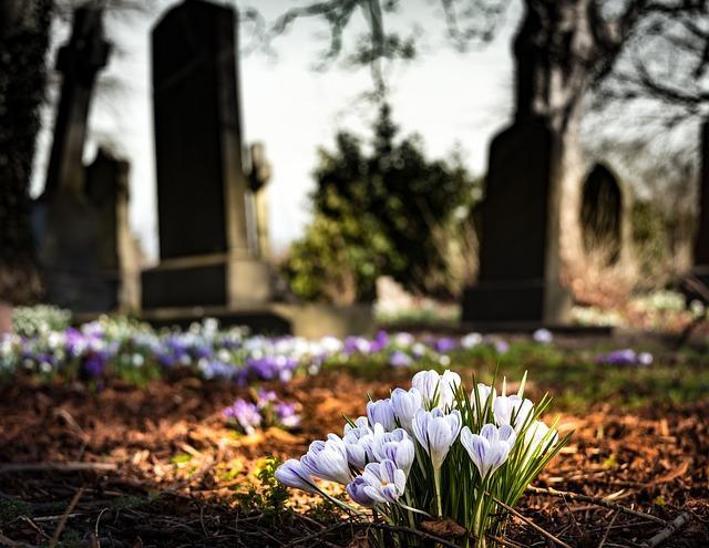 Friedhof mit blühenden Frühlingsblumen
