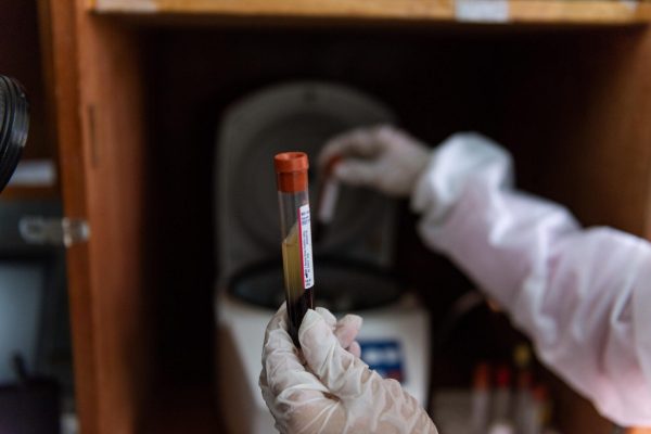 Dr. Napit gibt die Blutprobe in die Zentrifuge